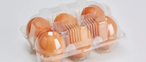 Egg Packaging